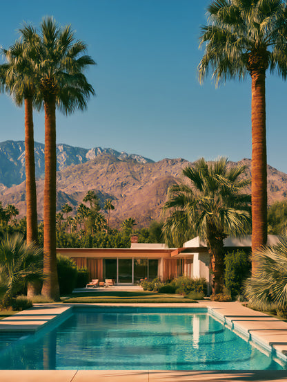 Raw unframed artwork — Twin Palms — Palm Springs source 09 — UHD bd9ccd7c30